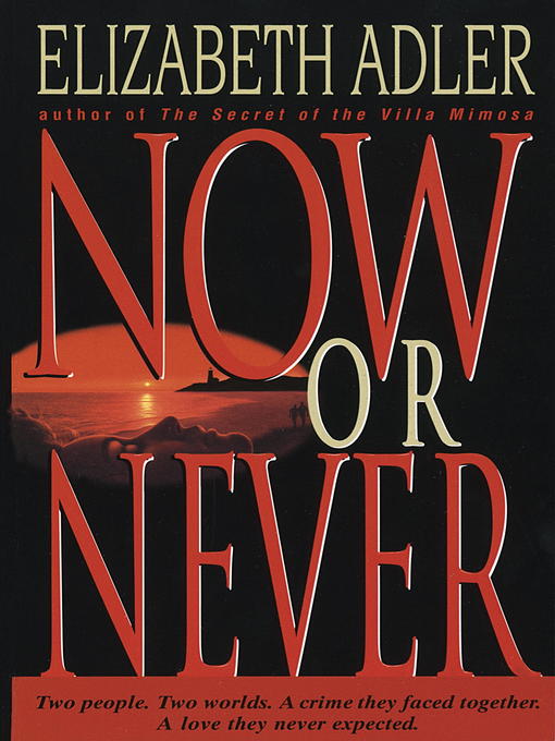 Title details for Now or Never by Elizabeth Adler - Wait list